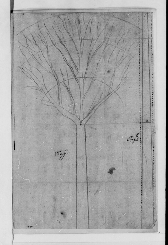 paine to jefferson 9-7-1788