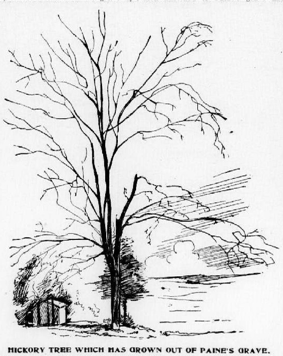 A sketch of Paine’s New Rochelle gravesite before the monument was installed in 1881 showing a hickory tree growing from the grave. The image was taken from a newspaper clipping from The Jennings daily record (Jennings, La.), June 19, 1902 – Library of Congress