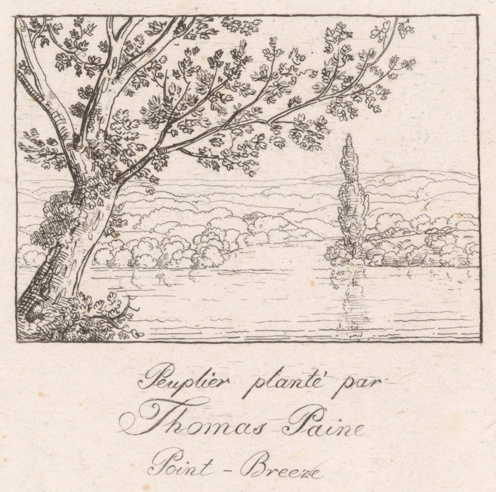 An 1826 sketch by Charlotte Bonaparte purporting to show a poplar tree planted by Thomas Paine near Bordentown, New Jersey where Paine bought a house in 1783 - The Metropolitan Museum of Art