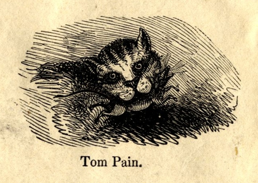 "Tom Pain" is an 1834 intaglio engraving by Thomas Hood of Paine in the form of a cat with its captured pray in its mouth - American Philosophical Society