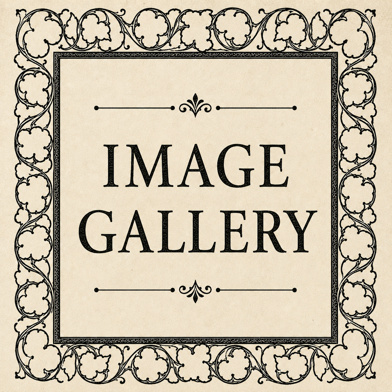 Image Gallery