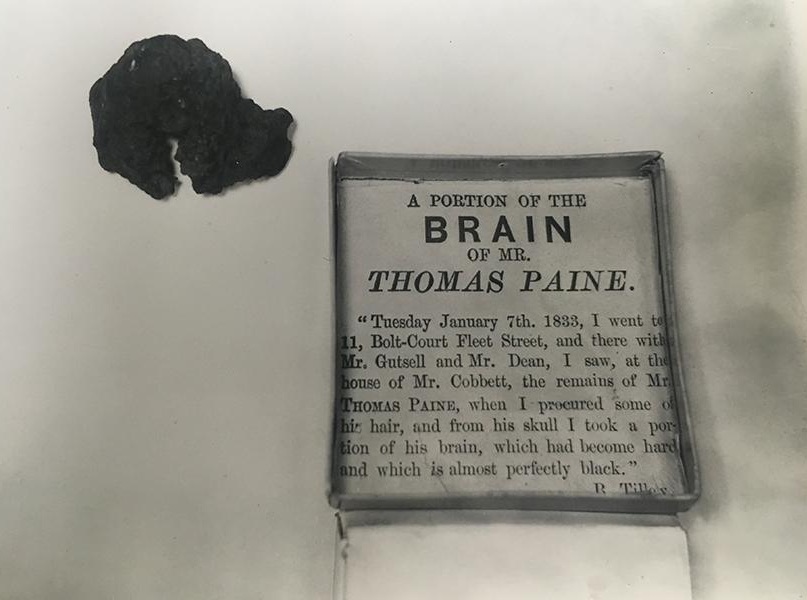 In 1890, Paine biographer Moncure Daniel Conway located Paine’s brain stem in Europe and had it sent to New Rochelle, NY and later donated donated the artifact to the Thomas Paine National
Historic Association.