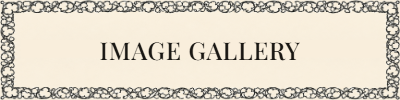 Image Gallery